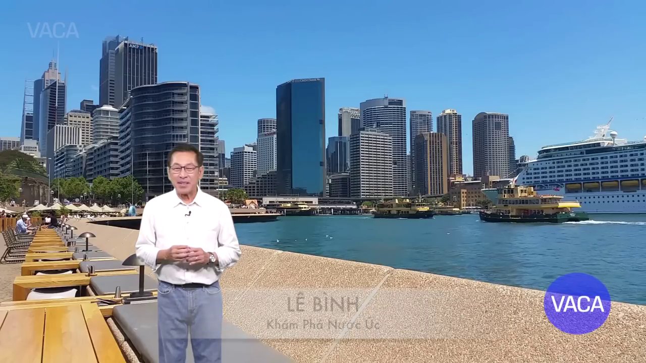 Một chú chuột túi Kangaroo đang nhảy trên thảo nguyên xanh mướt.