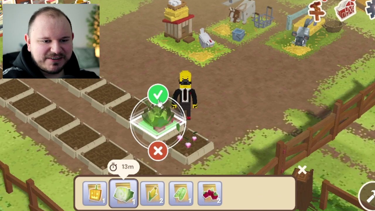 The fully expanded farm layout with new cardboard plots arranged neatly, ready for planting with various crops like strawberries and bamboo.